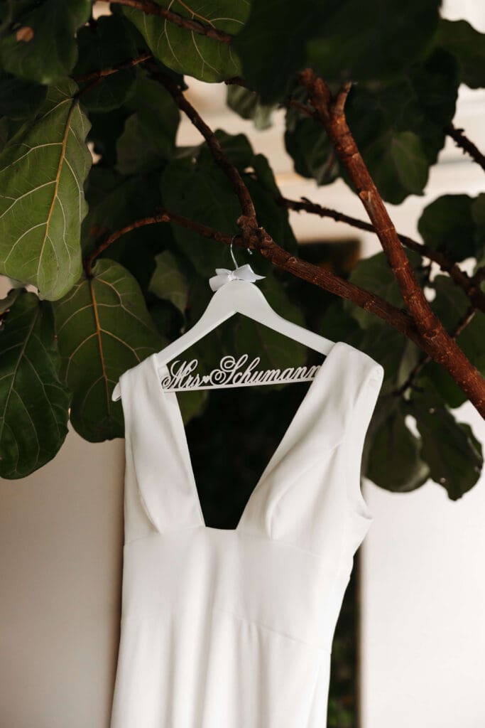 Bride's dress hangs on fiddle leaf fig tree