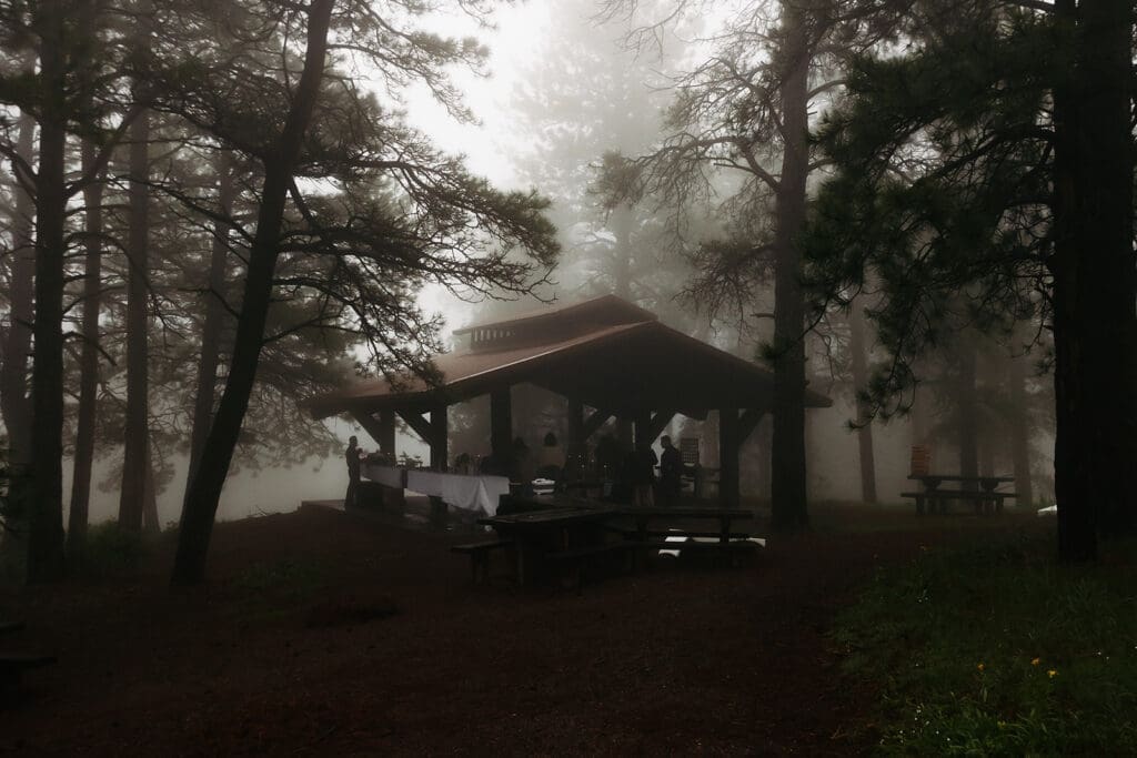 Fog-covered wedding venue nestled among pine trees with an intimate ceremony pavilion emerging through the mist.