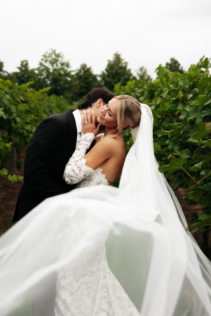 Bride and groom embracing between vineyard rows as her veil blows across the foreground.